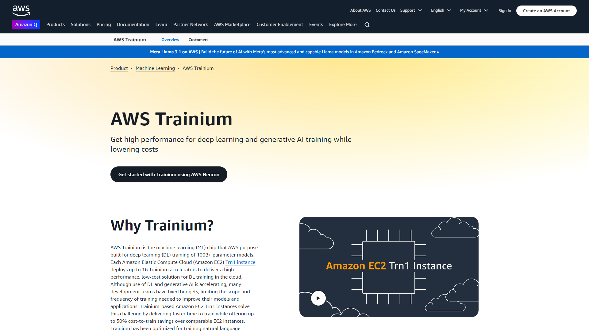 Thumbnail of AWS TrAInium