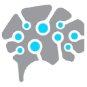 Logo of Deep Cognition