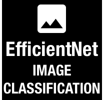 Logo of EfficientNet