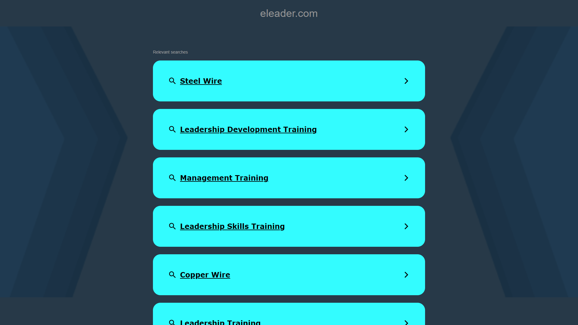 Thumbnail of eLeader Shelf Recognition AI